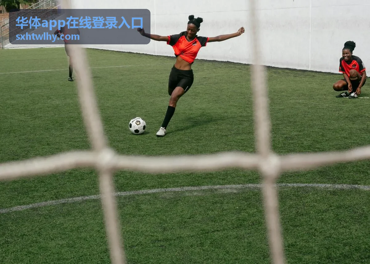 华体App在线登录入口精彩集锦封面