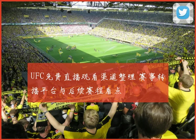 UFC免费直播观看渠道整理 赛事转播平台与后续赛程看点
