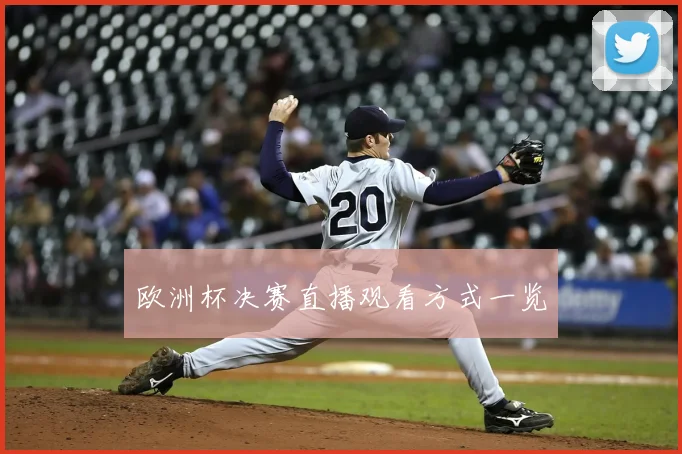 欧洲杯决赛直播观看方式一览