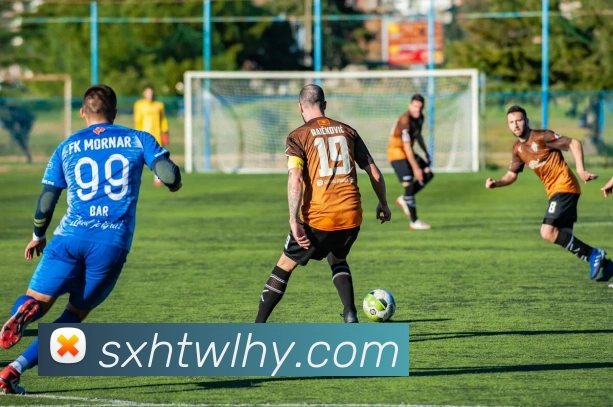 世界杯开户平台服务体系